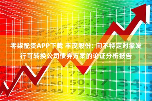 零柒配资APP下载 丰茂股份: 向不特定对象发行可转换公司债券方案的论证分析报告
