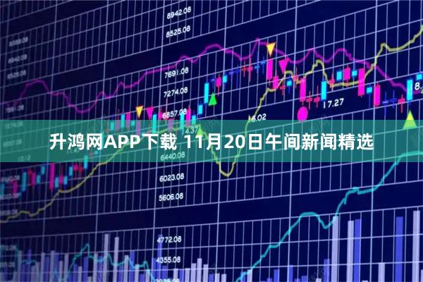 升鸿网APP下载 11月20日午间新闻精选