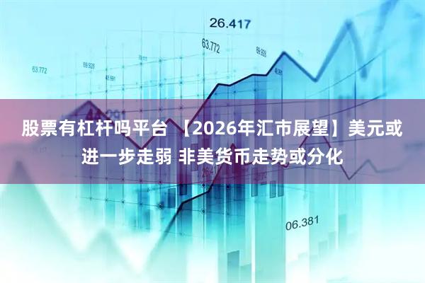 股票有杠杆吗平台 【2026年汇市展望】美元或进一步走弱 非美货币走势或分化